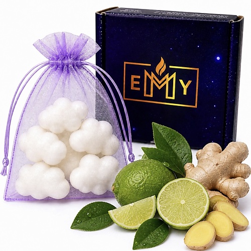 

EMY Саше для шкафа ароматическое лайм, имбирь, 6 шт, Саше для шкафа ароматическое лайм, имбирь, 6 шт