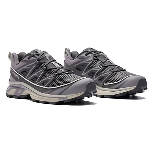 Кроссовки SALOMON Кроссовки для трейла мужские XT-6 Expanse Seasonal 'Plum Kitten Quail'