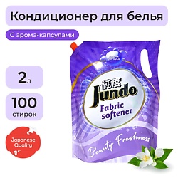 Премиум Кондиционер-ополаскиватель для белья, концентрированный, Свежесть красоты, 250 стирок
