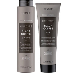 Набор шампунь и маска Teknia Color Refresh Inspiring Conscious Beauty Black Coffee