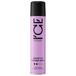 Спрей-пудра для объёма волос Professional Boost Up Powder Spray