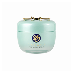 Увлажняющий крем для лица для комбинированной и жирной кожи The Water Cream