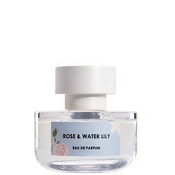 Rose & Water Lily