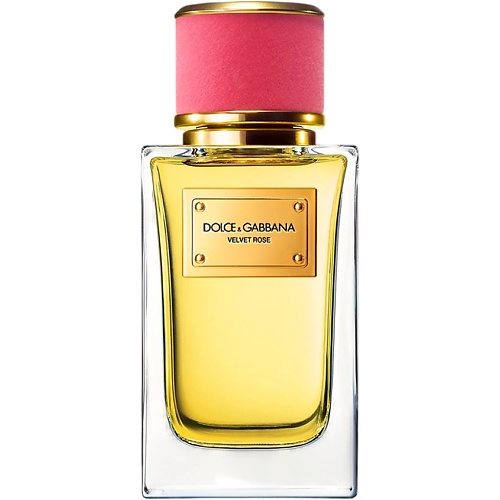 DOLCE&GABBANA Velvet Collection Rose 100