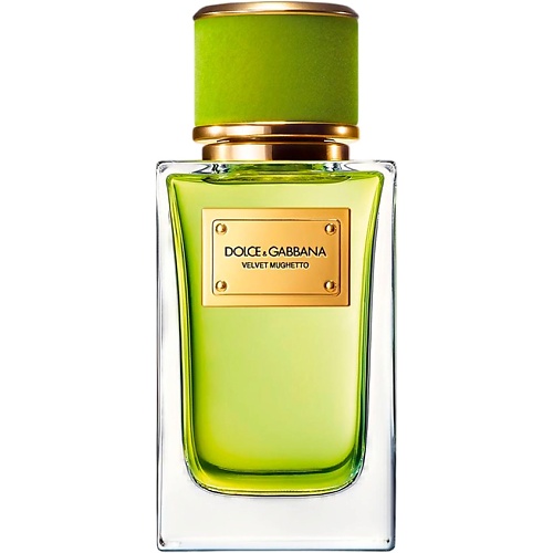 DOLCE&GABBANA Velvet Collection Mughetto 100