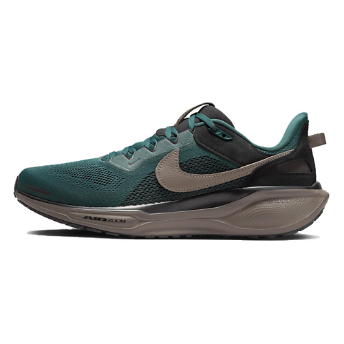 Кроссовки NIKE Беговые кроссовки Air Zoom Pegasus 41 Sp Faded Spruce