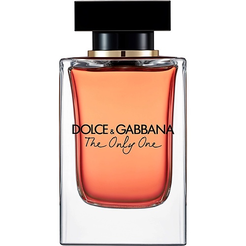 DOLCE&GABBANA The Only One 100