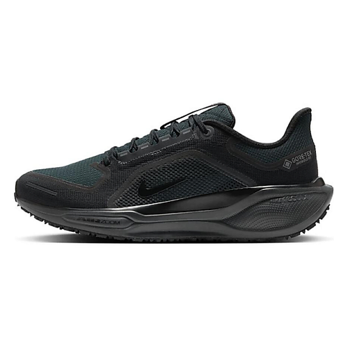 Кроссовки NIKE Беговые кроссовки Air Zoom Pegasus 41 Gore Tex Black