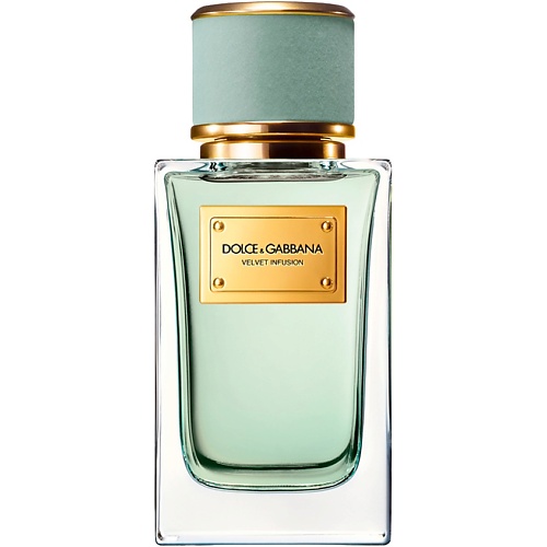 DOLCE&GABBANA Velvet Infusion 100
