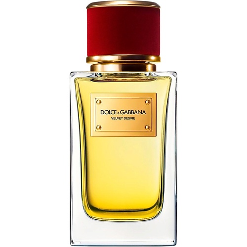 DOLCE&GABBANA Velvet Collection Desire 100