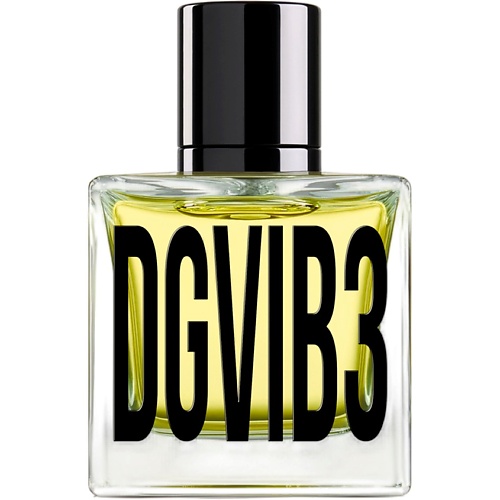 DOLCE&GABBANA DGVIB3 100