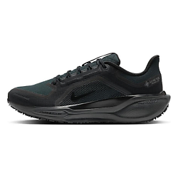 Беговые кроссовки Air Zoom Pegasus 41 Gore Tex Black