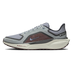 Беговые кроссовки Air Zoom Pegasus 41 Gore Tex