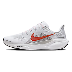 Беговые кроссовки мужские Air Zoom Pegasus 41