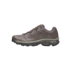 Кроссовки XT 6 GORE TEX 'Iron Etherea'