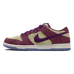 Кроссовки для скейтбординга унисекс Dunk SB Leather Low top
