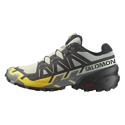Беговые кроссовки мужские Speedcross 6