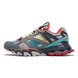 Кроссовки Dmx Trail Shadow Reebok 'Cold Grey Rustic Clay'