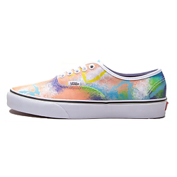 Authentic Series Кроссовки для скейтбординга Низкие