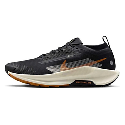 Кроссовки для трейла мужские Pegasus Trail 5 Gore Tex