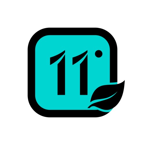 11I PROFESSIONAL