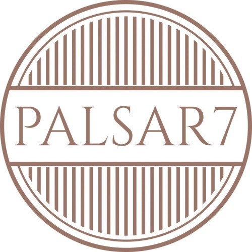 PALSAR 7
