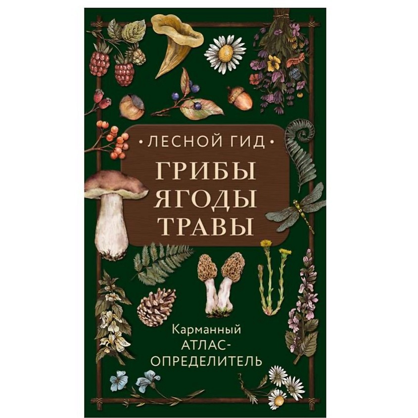 Изображение товара ЭКСМО Лесной гид: грибы, ягоды, травы. Карманный атлас-определитель, 1 шт.