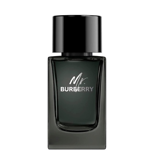 Парфюмерная вода BURBERRY Парфюмерная вода Mr. Spray