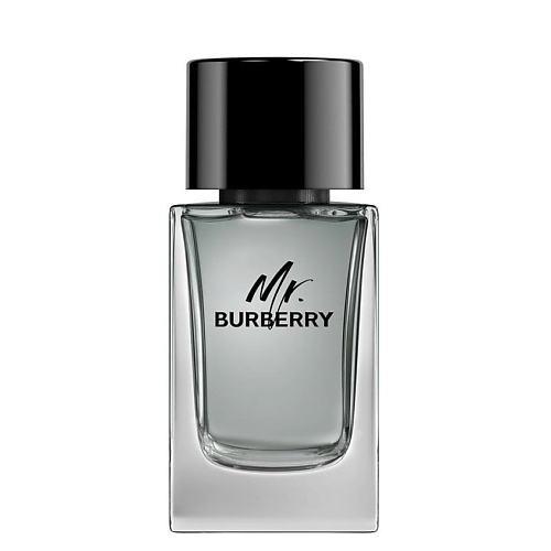 Туалетная вода BURBERRY Туалетная вода Mr. Spray