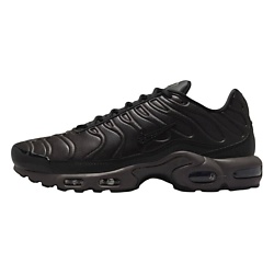 Кроссовки для бега Air Max Plus Premium Paris