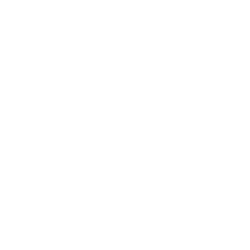 BRUNO VISCONTI