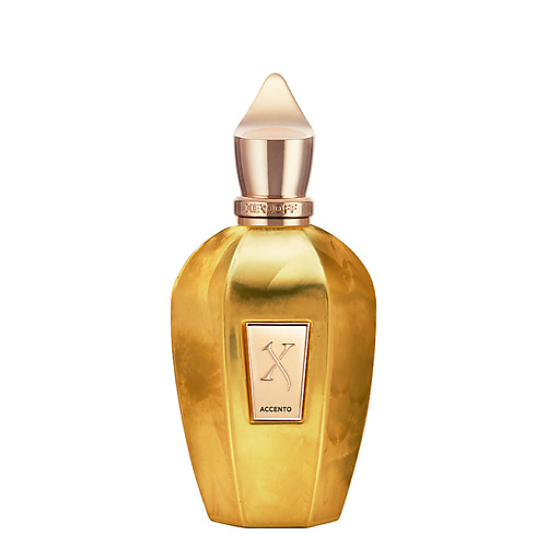 Парфюмерная вода XERJOFF Парфюмерная вода ACCENTO OVERDOSE EDP 100 ML
