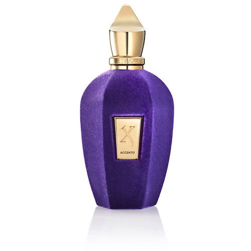 Парфюмерная вода XERJOFF Парфюмерная вода ACCENTO EDP 100 ML