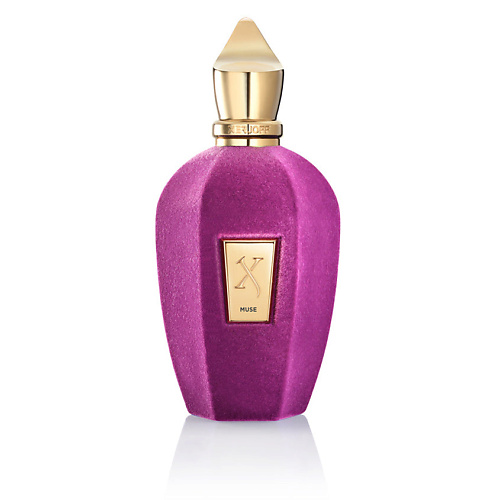 Парфюмерная вода XERJOFF Парфюмерная вода V MUSE EDP 50 ML