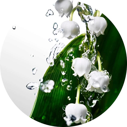 Туалетная вода DAVIDOFF Туалетная вода DAV CWW EDT SPRAY