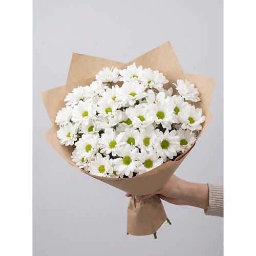 Букет живых цветов ПЯТЬ ЦВЕТОВ Букет из 9 кустовых хризантем в крафте