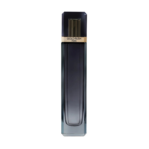 Туалетная вода PARIS HILTON Туалетная вода PARIS HILTON GOLD RUSH (M) EDT 100ML