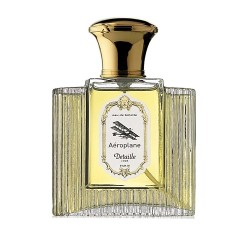 DETAILLE 1905 PARIS Aéroplane 100