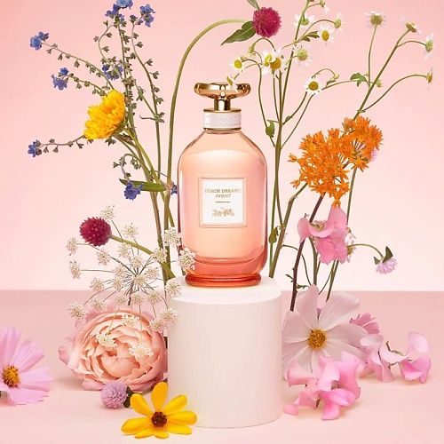 Парфюмерная вода COACH Парфюмерная вода DREAMS SUNSET EDP 90 ML