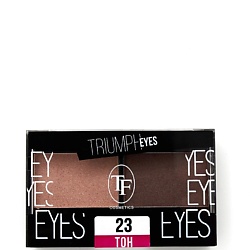 Тени для век двухцветные TRIUMPH EYES, CTE33