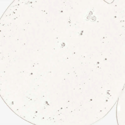 Спрей для лица MYSTIC HYDRATING TREATMENT