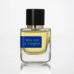 Парфюмерная вода WHY NOT A FOUGERE EDP