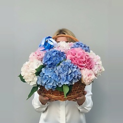 Корзина с гортензией Счастье