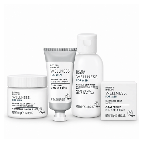 BAYLIS&HARDING BAYLIS & HARDING Подарочный набор Wellness For Men Wellbeing Tin