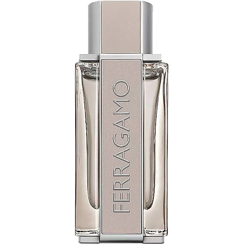 FERRAGAMO Bright Leather 100