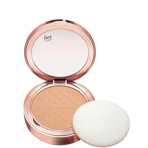 NAJ OLEARI Матирующая компактная пудра SKIN CARESS PRESSED POWDER