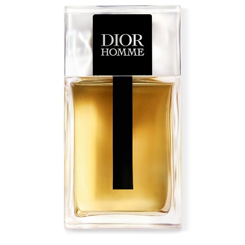 DIOR Homme 100
