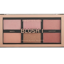 Палетка для макияжа лица Blush