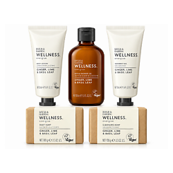 BAYLIS & HARDING Набор для тела Wellness Energise