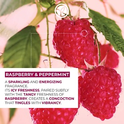Гель для душа YVES ROCHER Гель для душа Energizing Bath And Shower Gel Raspberry &